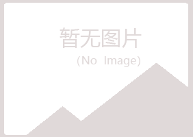 横山县冰夏司法有限公司